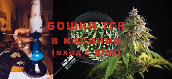 ешки Арсеньев