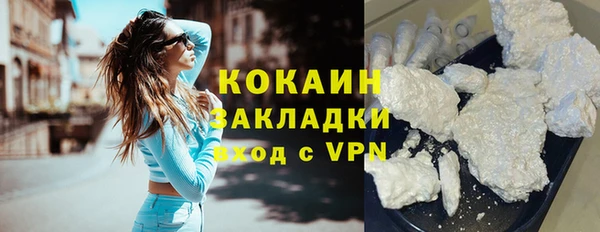 ешки Арсеньев