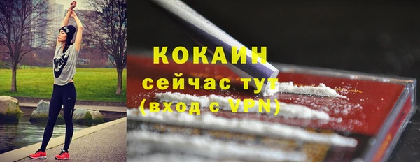 ешки Арсеньев