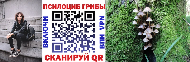 цены наркотик  Спас-Клепики  Псилоцибиновые грибы ЛСД 